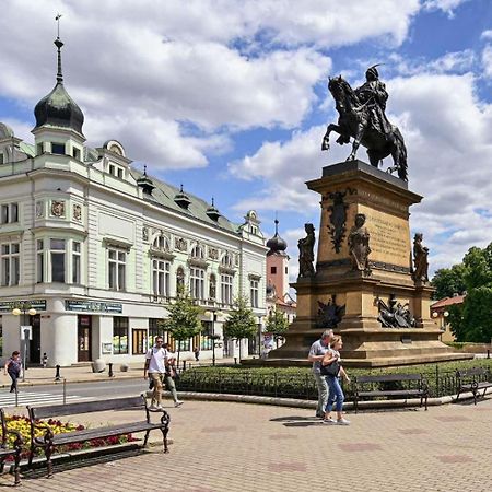 Apartment Spa And Fontain Poděbrady Extérieur photo
